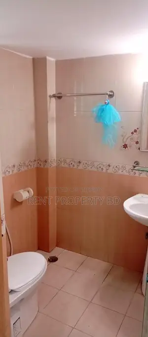 Bashundhara Nice Fully Furnished Apartment Rent