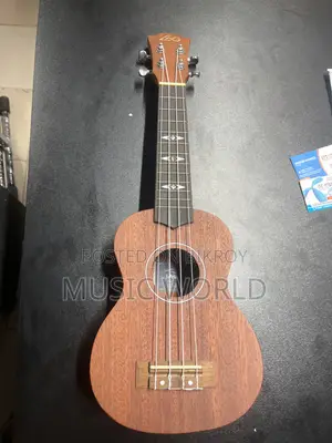 LaVa brand 21 inch Ukulele for professional sound