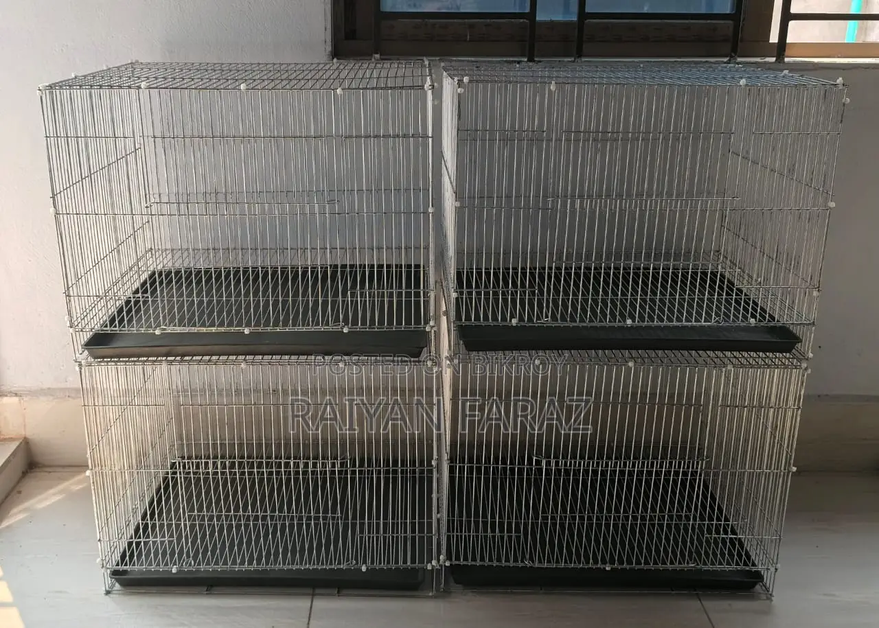 Bird Cage