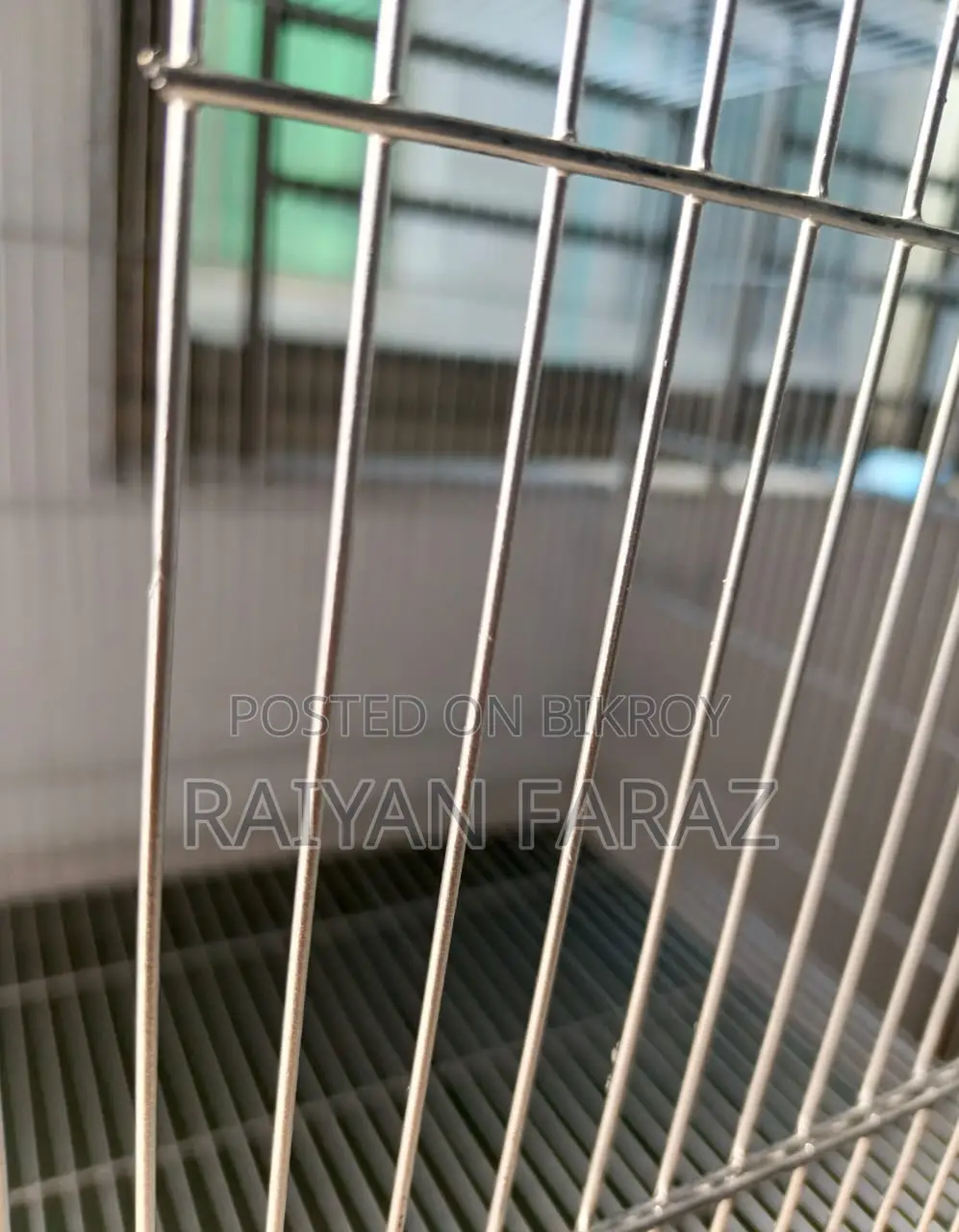 Bird Cage