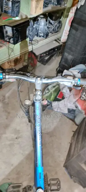 Forever Bicycle for Sale