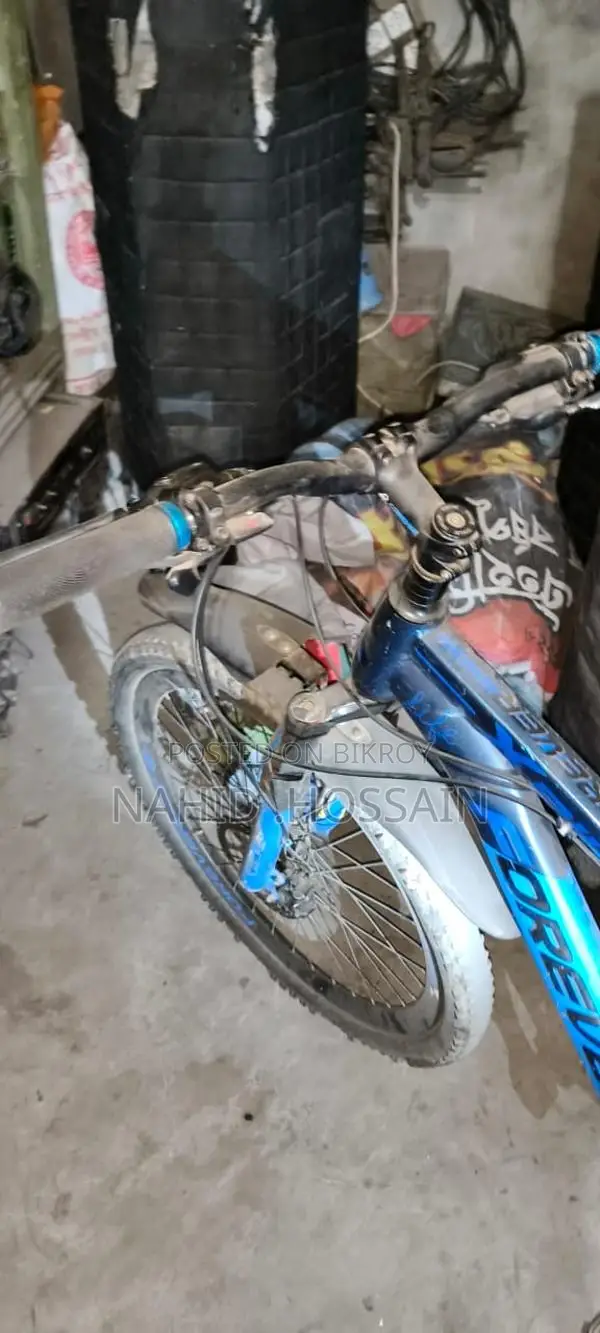 Forever Bicycle for Sale