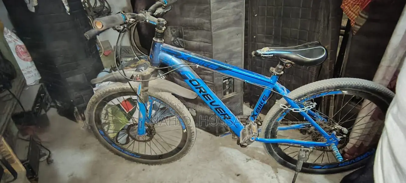 Forever Bicycle for Sale