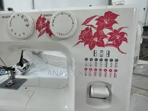 Usha Janome Allure Dlx Sweing