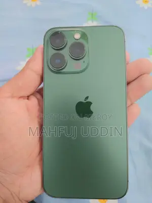 Apple iPhone 13 Pro (Used)