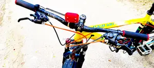 Bicycle for Sale