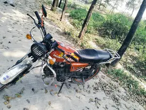 Dayang DY-100 2020
