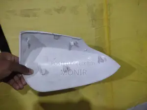 Axio Left Side Wing Mirror Cover