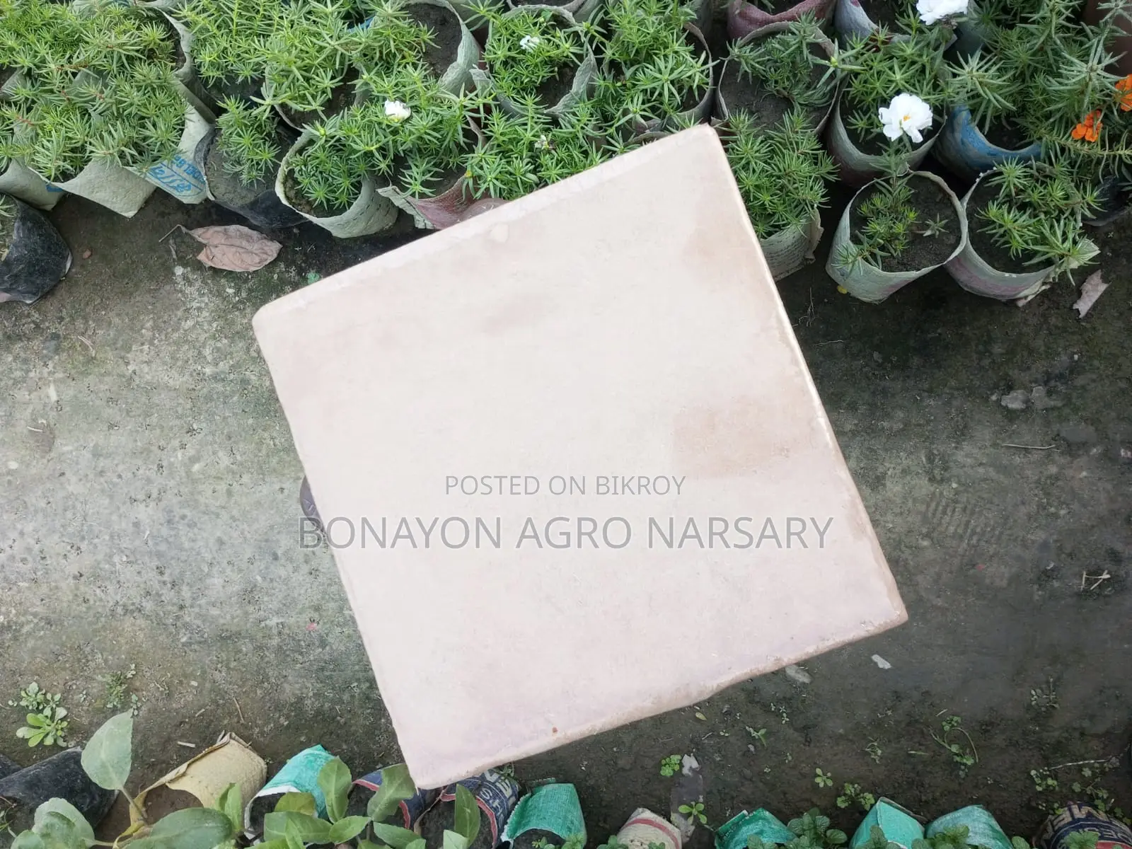 Cocopeat Block 4kg