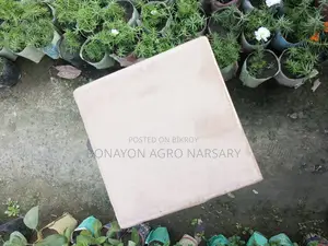 Cocopeat Block 4kg