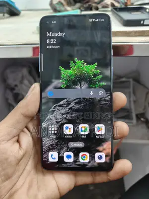 OnePlus 9R 12gb 256 (Used)