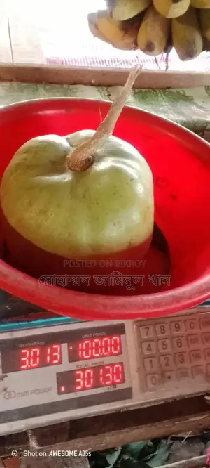 Wholesale Wood Apple (Bel) Sale – 1kg / 2kg sizes | Fixed Price