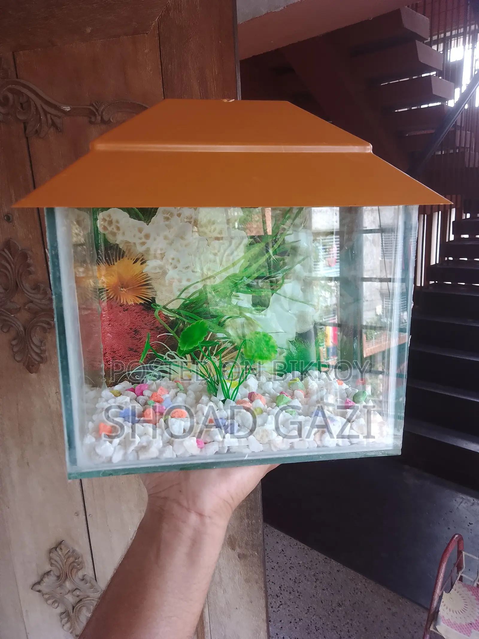 Mini Aquarium