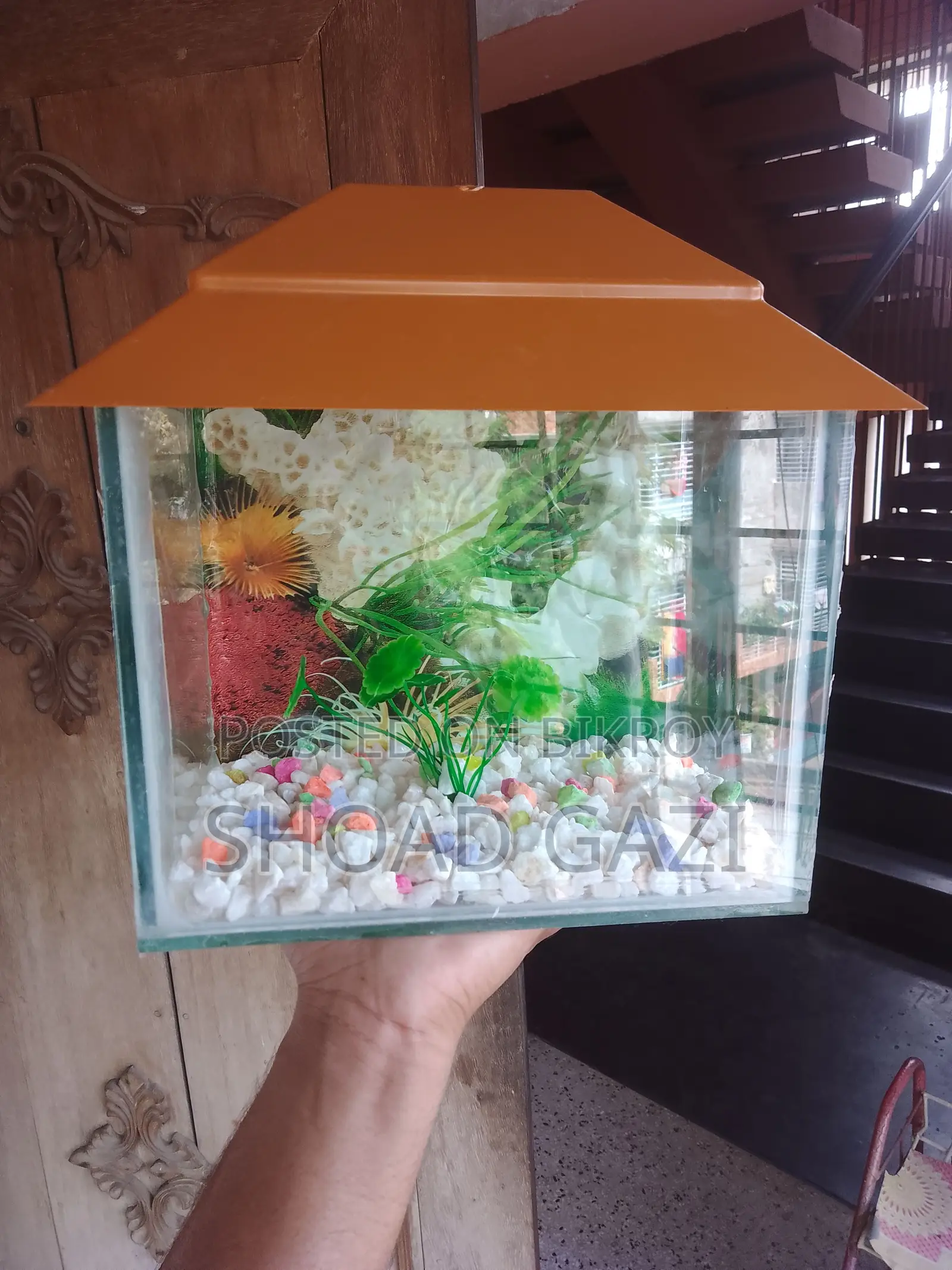 Mini Aquarium