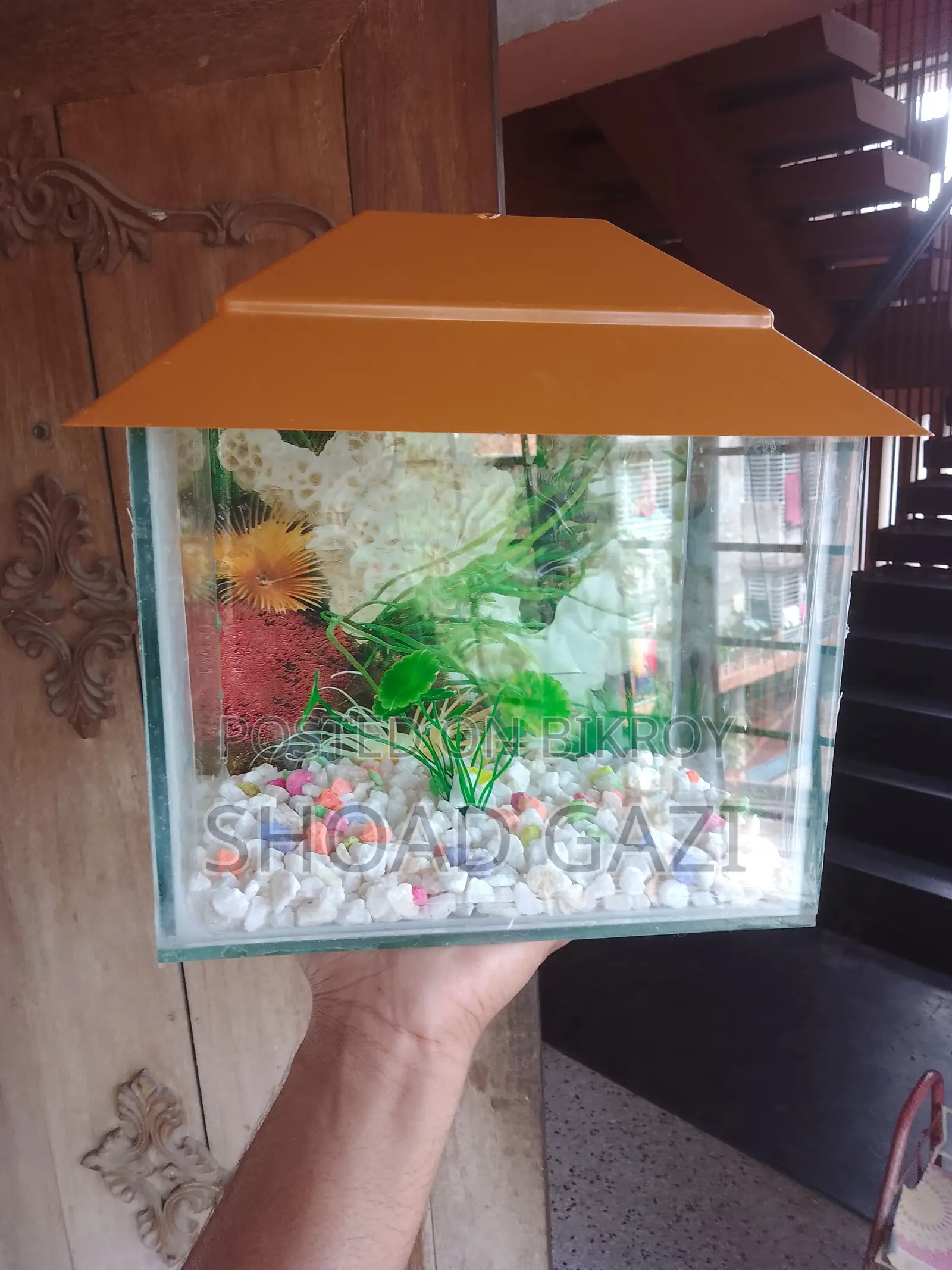Mini Aquarium