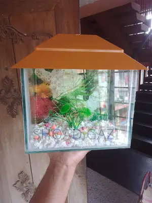 Mini Aquarium
