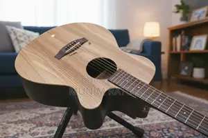 Tanglewood Blackbird Electro Acoustic Guitar