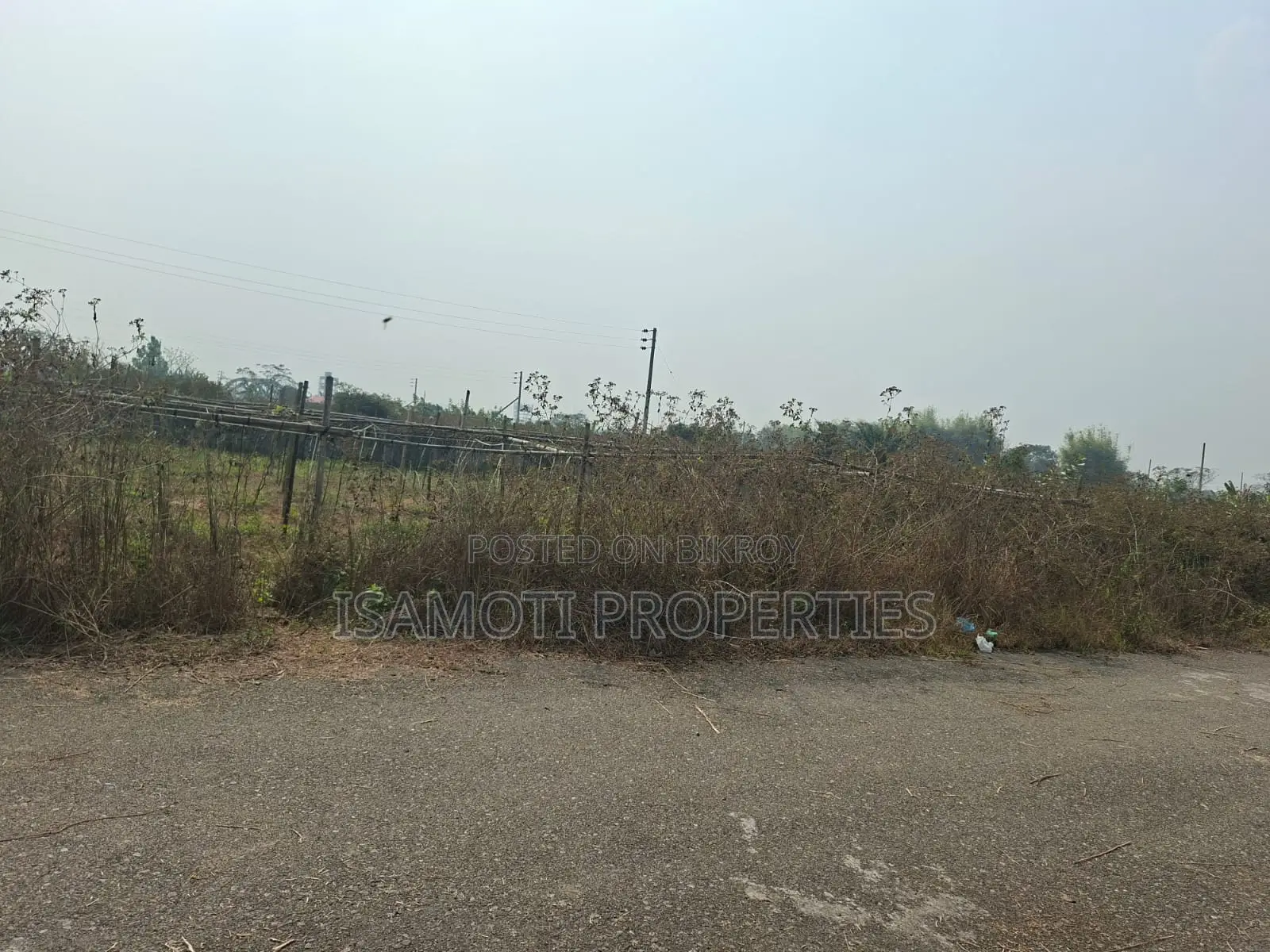 Field View 5 katha Plot Sale Sector 25