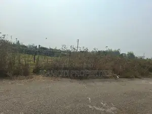 Field View 5 katha Plot Sale Sector 25