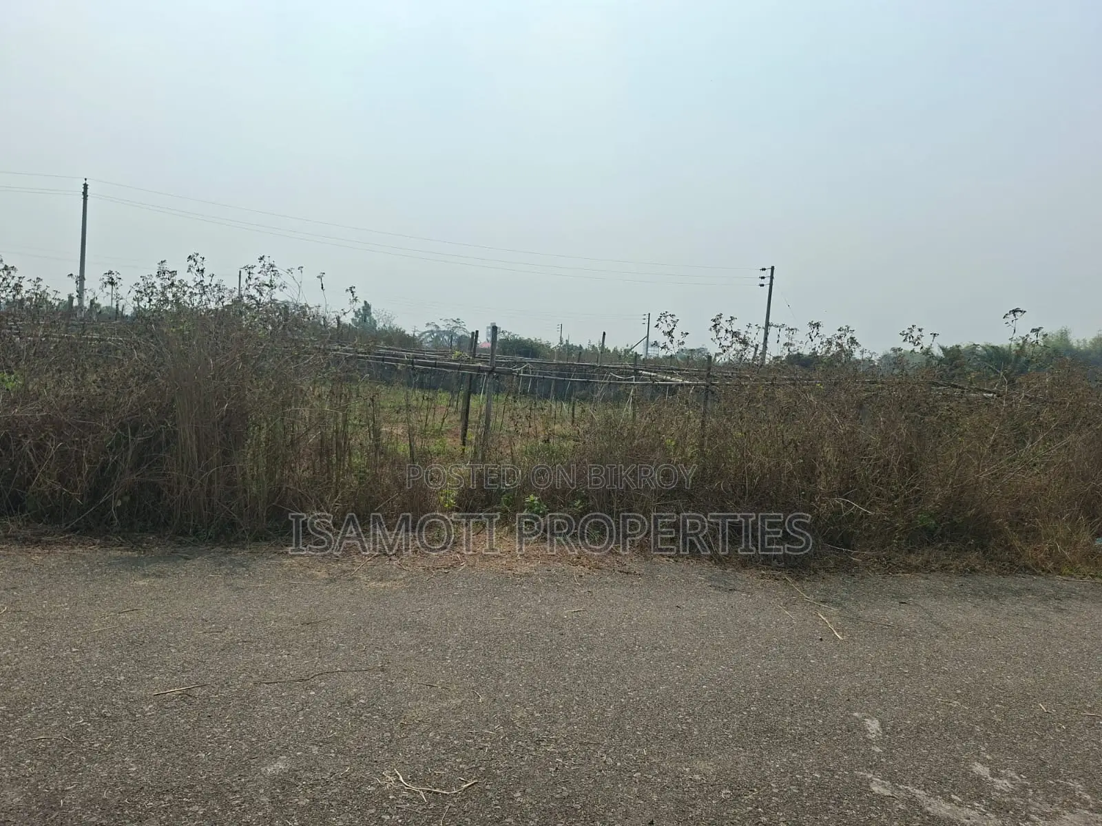 Field View 5 katha Plot Sale Sector 25