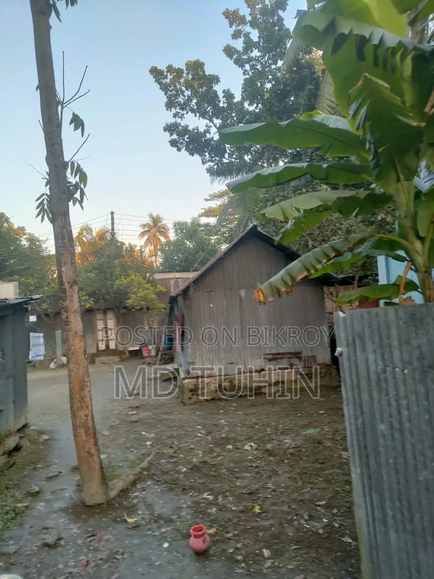 Land with Tin-Shed House for Sale