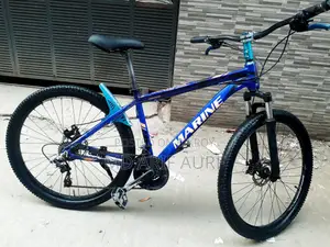 Full Aluminum Body Bicycle