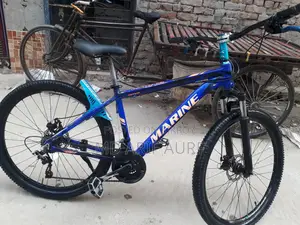 Full Aluminum Body Bicycle