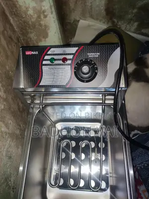 ইলেকট্রিক ডিপ ফ্রায়ার