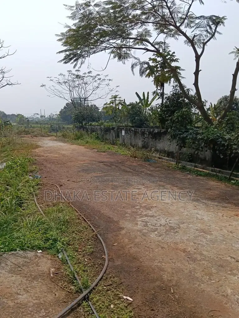 Sector-29 Road-405C South Face gov. service