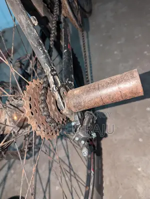 Duranta Bicycle for Sale