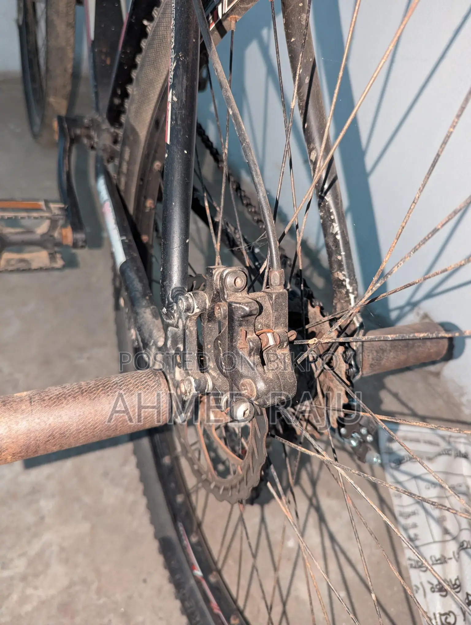 Duranta Bicycle for Sale