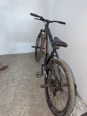 Duranta Bicycle for Sale