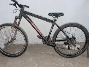 Duranta Bicycle for Sale