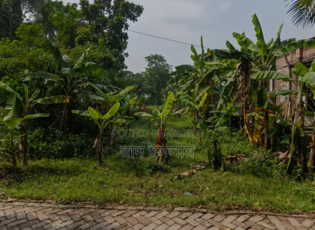 2 Katha Land for Sale in Shiromoni