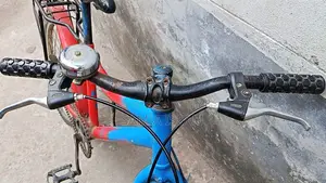 Duronto Kids' Bicycle