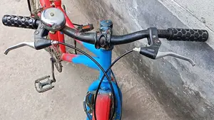 Duronto Kids' Bicycle