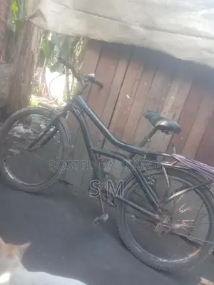 Selling my bicycle