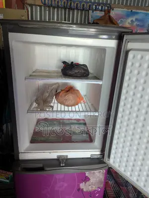 Refrigerator For Sale