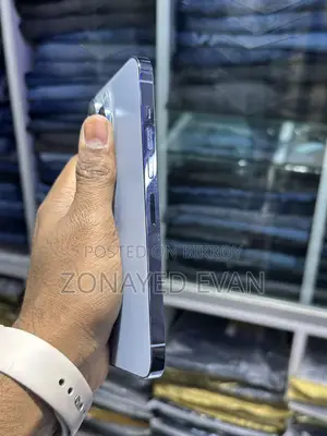 Apple iPhone 13 Pro Max (Used)