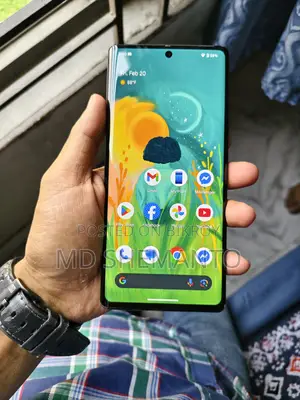 Google Pixel 6 Pro USA (ব্যবহৃত)