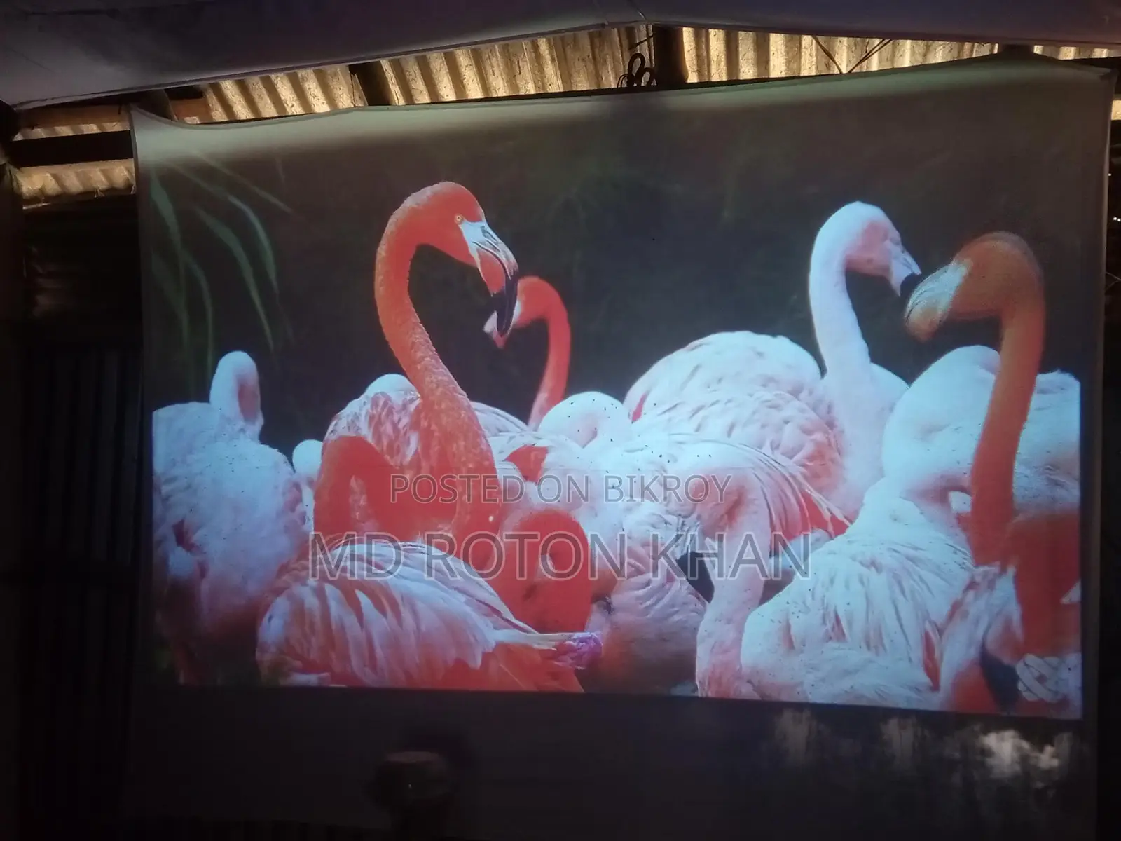 Alr. Projector Screen 72"