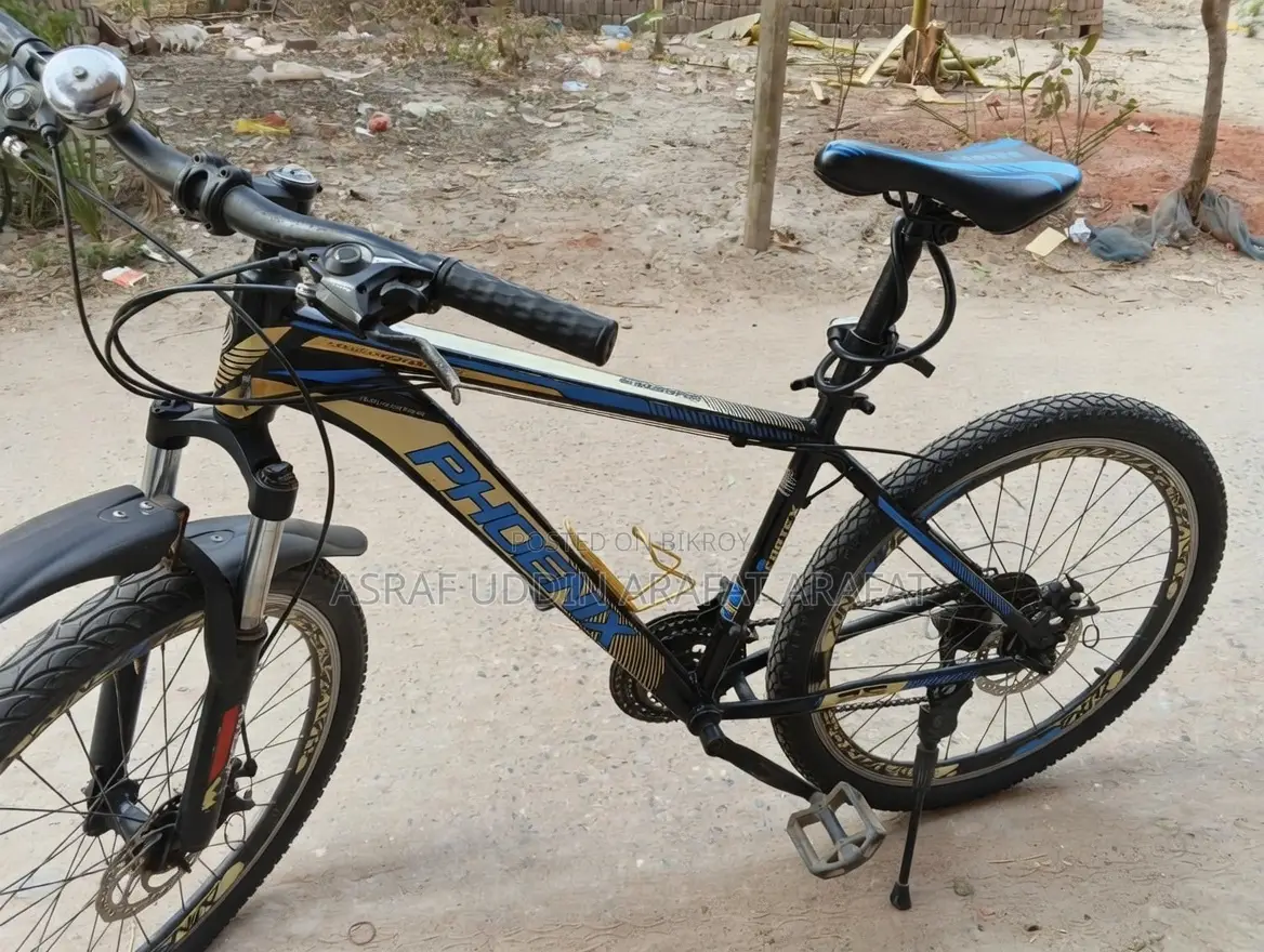 Phoenix 601 Mountain Bike Gear + Disc Brake