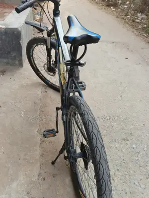 Phoenix 601 Mountain Bike Gear + Disc Brake