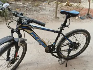 Phoenix 601 Mountain Bike Gear + Disc Brake