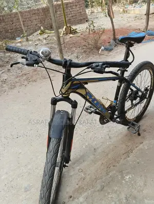 Phoenix 601 Mountain Bike Gear + Disc Brake