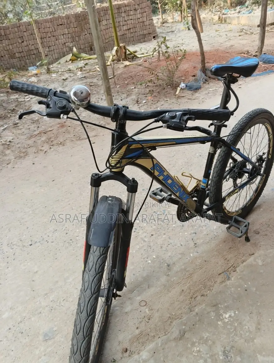 Phoenix 601 Mountain Bike Gear + Disc Brake