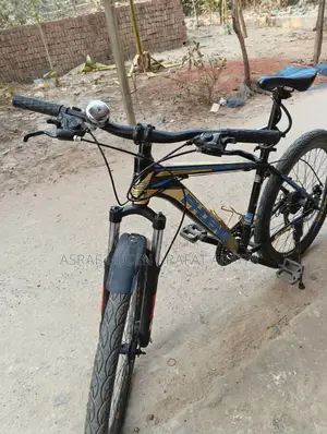 Phoenix 601 Mountain Bike Gear + Disc Brake