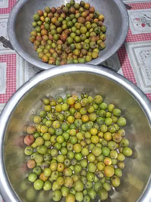 টক বরই