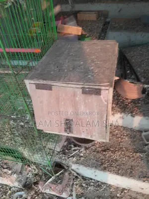 ব্রিডিং বক্স