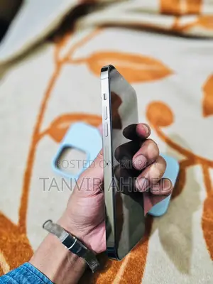 Apple iPhone 13 Pro Max (Used)